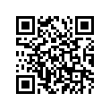 94416-21058-00 RIM (1.60-21)