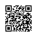 94416-21069-00 RIM (1.60-21)