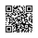 94416-21077-00 RIM (1.60-21)