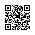 94416-21079-00 RIM (1.60-21)