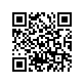 94416-21081-00 RIM (1.60-21)