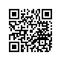 94416-21082-00 RIM (1.60-21)