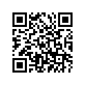 94416-21533-00 