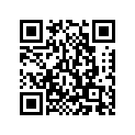 945-80881-30-00 Chain