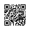 945-81321-10-00 Цепь
