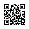 94505-20100-00 Chain