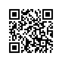 94560-40104-00 Chain