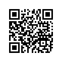 94563-16054-00 Chain