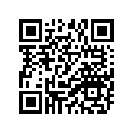 94568-41132-00 Chain