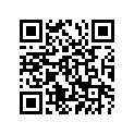 94575-30106-00 