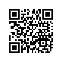 94581-10106-00 CHAIN