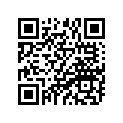 94581-13114-00 CHAIN