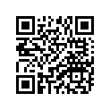 94581-22132-00 