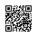 94581-22138-00 Цепь