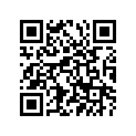 94581-30108-00 CHAIN