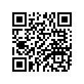 94581-36124-00 ﾁｴｰﾝ(DID428VS3-124LE)