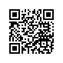 94581-90132-00 Цепь
