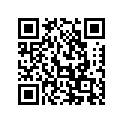 94645-49400-291 