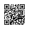 94671-35031-00 JOINT, CHAIN