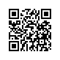 94804-25062-00 CHAIN