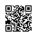 94900-38210-49R Bag