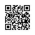 94980-19001-000 Bag