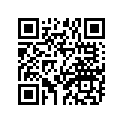 95201-06040-00 