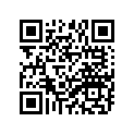 953-07060-12-00 Bolt