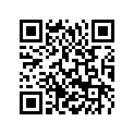 95803056000 Verstärkung Fußrastenträger