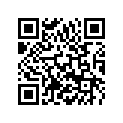 95807013040 Tankbefestigung unten