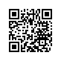 95814125000 Blinker links