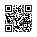 9611-056 DECAL,EFI DIAGNOSTIC CODES-4-STROKE