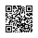 9611-057 DECAL,EFI DIAGNOSTIC CODES-10