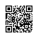 9611-095 DECAL,TUNNEL-