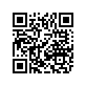 9611-157 DECAL,FRT SPAR-FORWARD-GRN LH
