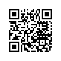 9611-206 DECAL,FRT SPAR-