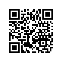 9611-215 DECAL,TUNNEL-