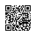 9611-243 DECAL,ACCESS PANEL-LWR-LH