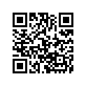9611-771 DECAL,RISER-LH-ORN