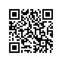 9611-772 DECAL,TUNNEL-Z1-ORN