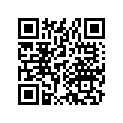 97081-22125-B0 ｽﾎﾟ-ｸB 12X142.5