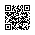97081-22127-B0 Spoke B (12x143.5)