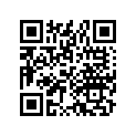 9718811211B0 SPOKE A,13X185.5
