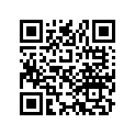 97252-42230-1 Spoke A, Rr.