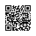 97284-52231-Q0 SPOKE B (9X195.5)