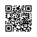 97287-52104-1 Spoke A, Rr.