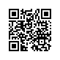 97547-52182-10 Spoke B (9x171)