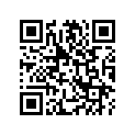 97600-31090-10 Spoke A (11x125)