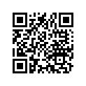 97661-521701 スポ-ク9X165