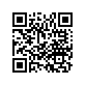 97687-GHBP0-00 SPOKE B, RR.